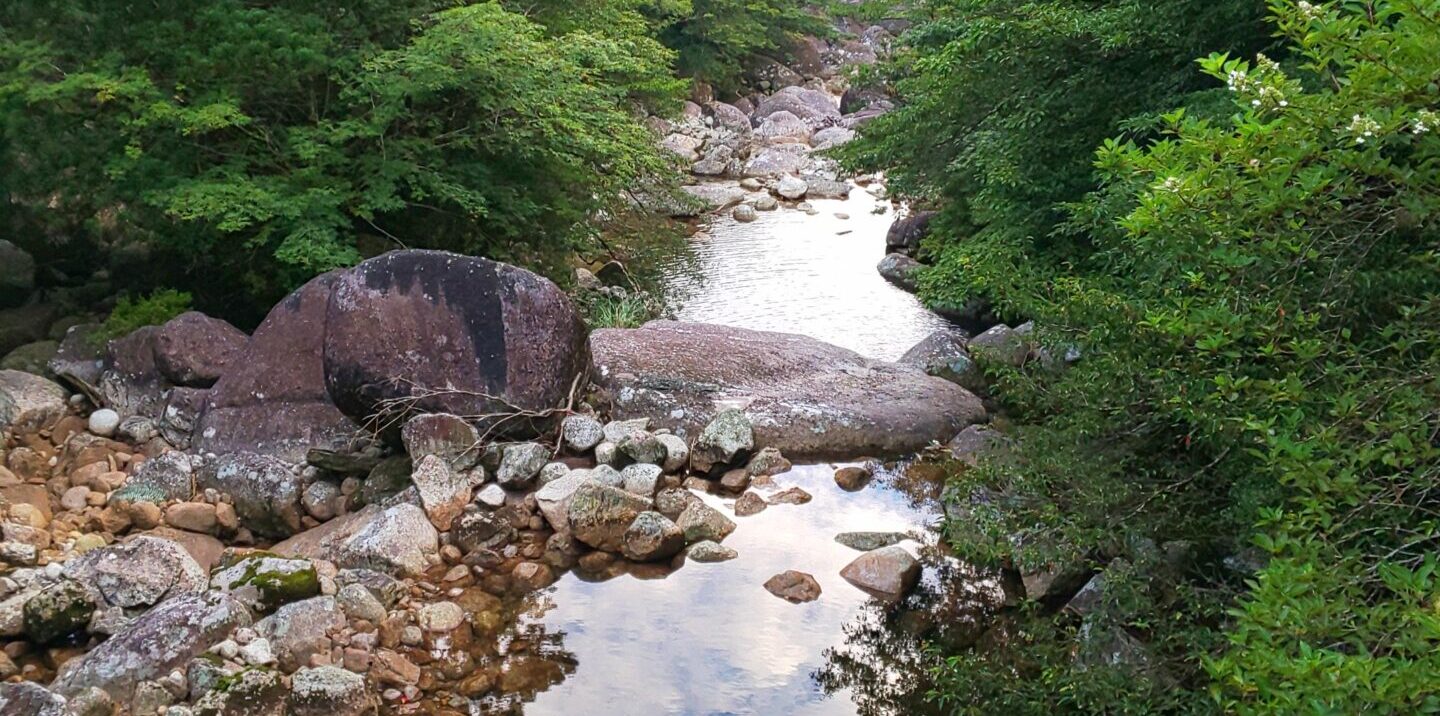 Webの効果測定をする