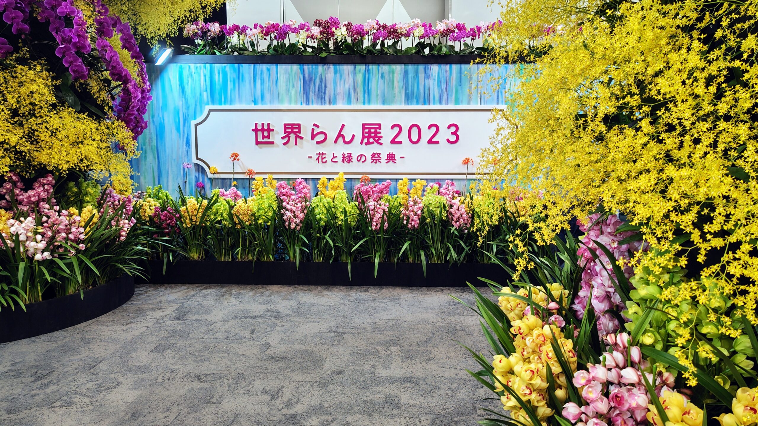 らんの森が出現　「世界らん展2023」がプリズムホール（東京都文京区）で開幕