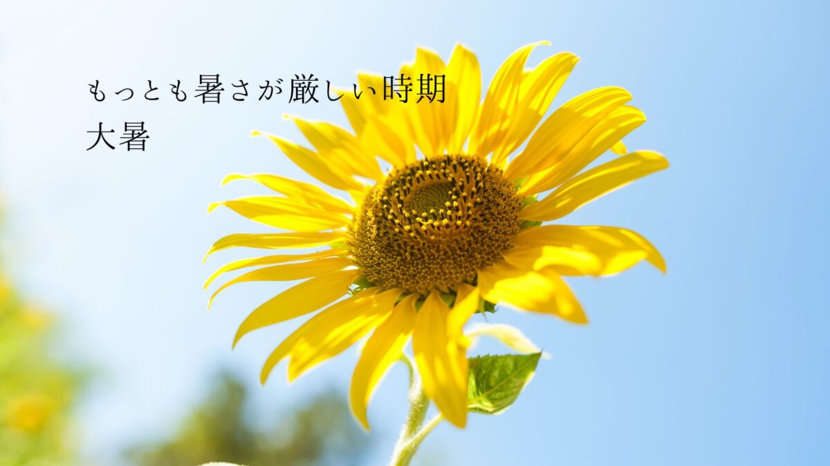 もっとも暑さが厳しい時期「大暑」 - シキノハナLab