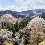 【ブログ】奈良県・吉野山の一目千本桜