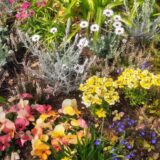 お知らせ：noteを開設しました