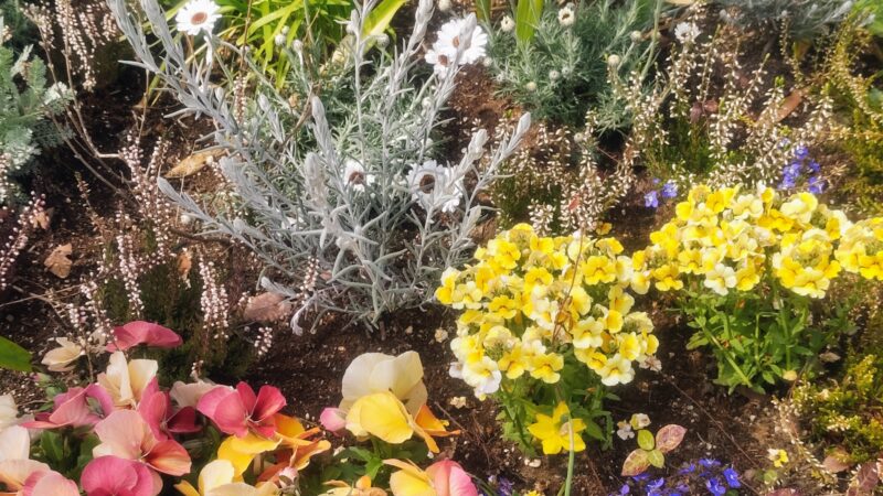 お知らせ：noteを開設しました